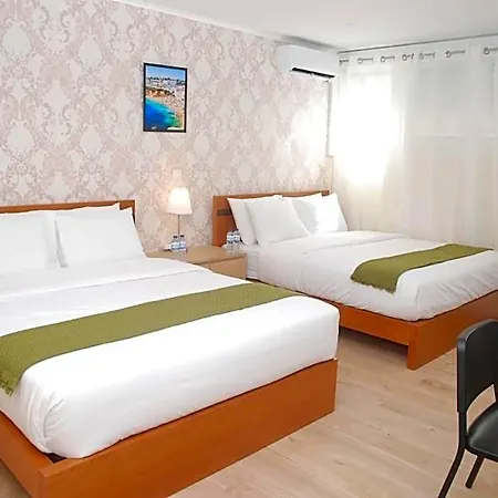 ホステル Amor Lisboa Hostel