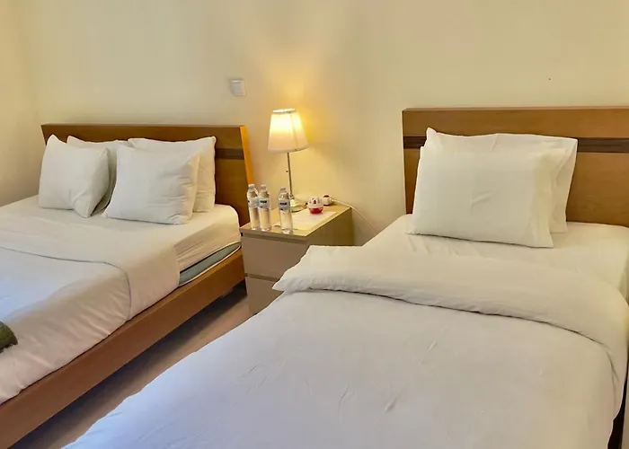 旅馆 Amor Lisboa Hostel *