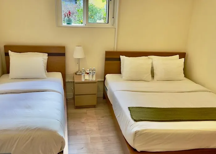 旅馆 Amor Lisboa Hostel Lisboa